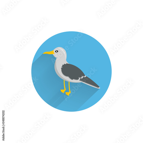 seagull colorful flat icon with long shadow. gull flat icon