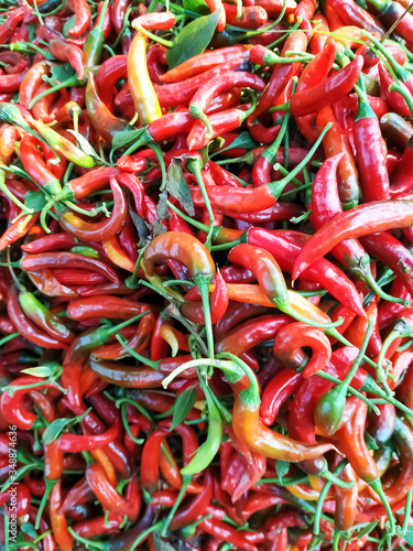 red hot chili pappers natural organic © Naimodin Miya Dhobi