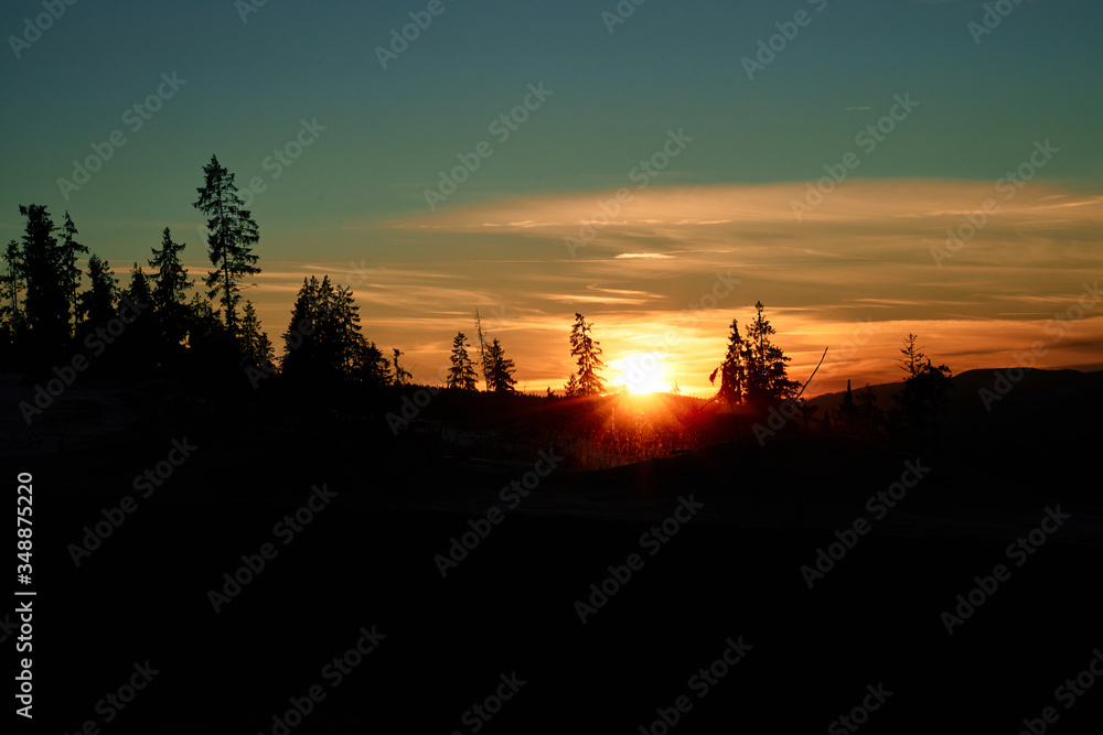 Sunrise/sunset with big bloody sun in the middle and deep blue sky with forest silhouette in the foreground.