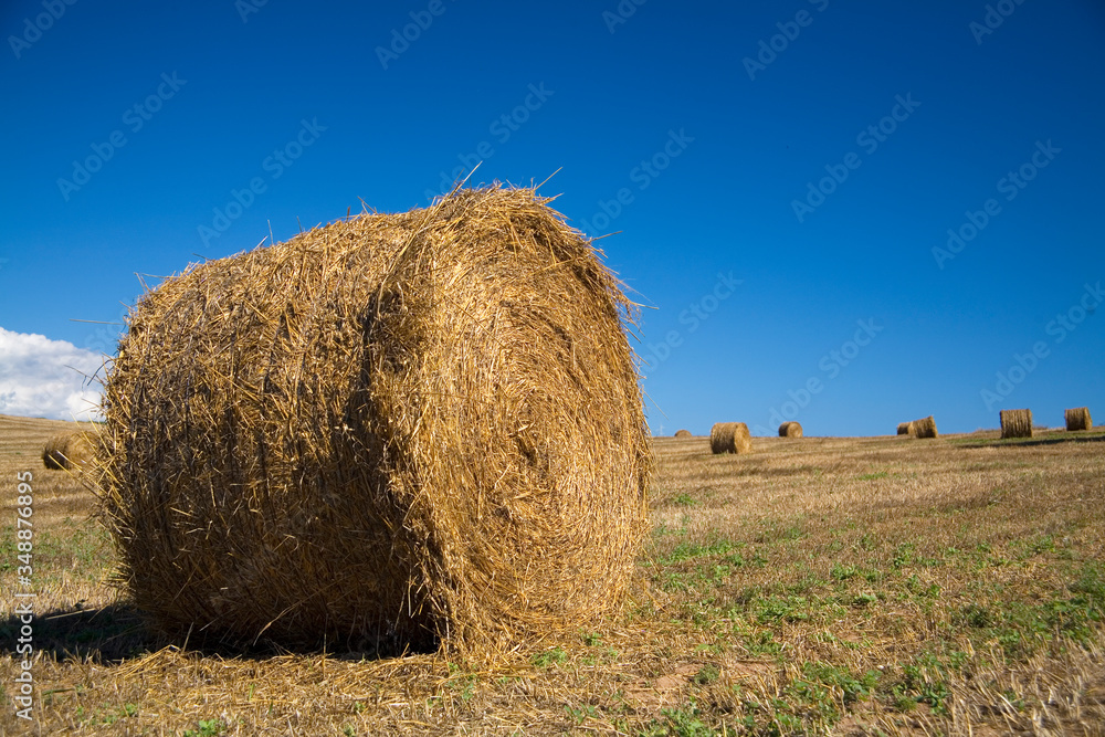 Hay roll against blue sky