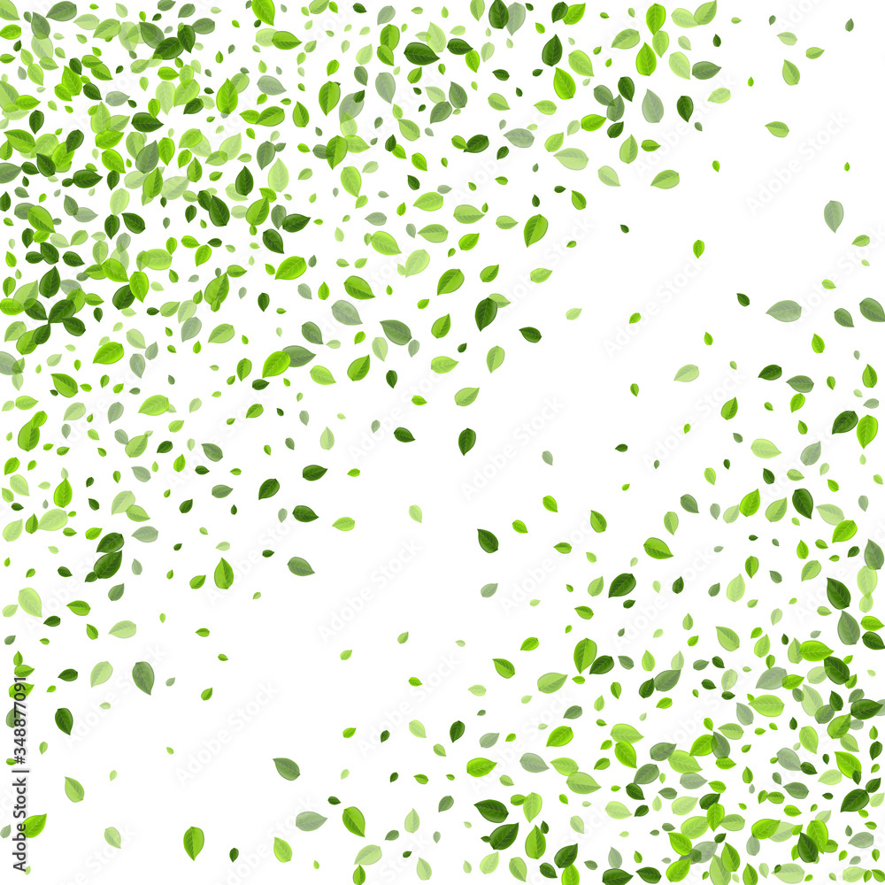 Green Leaves Swirl Vector Wallpaper. Flying Leaf Green Leaves Swirl Vector Wallpaper. Flying Leaf