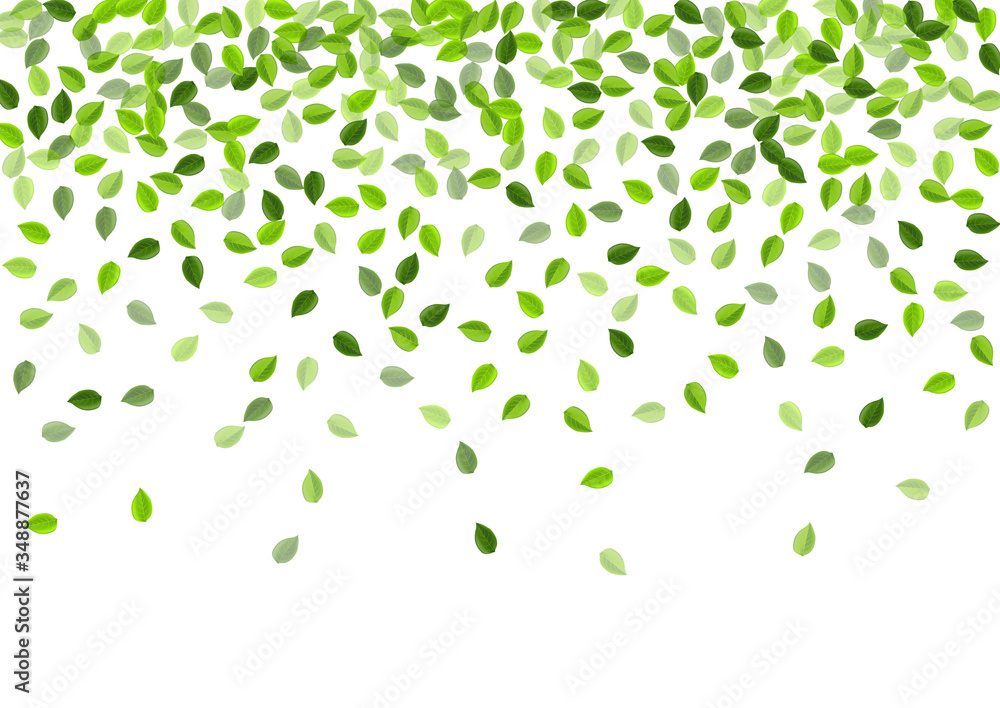 Green Leaves Realistic Vector Brochure. Swirl Green Leaves Realistic Vector Brochure. Swirl