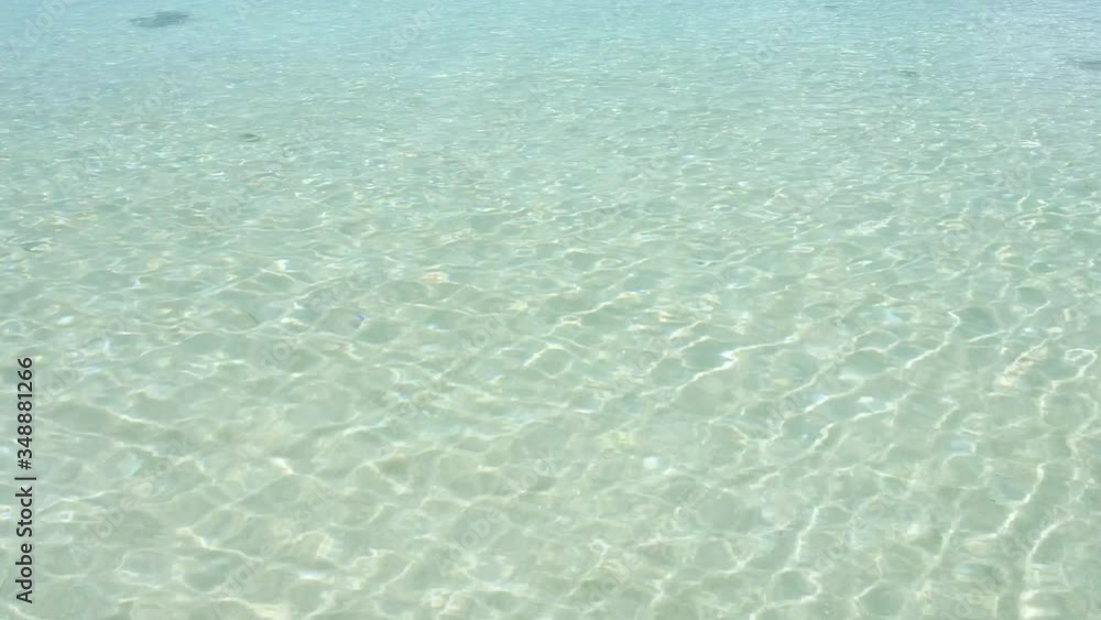 波照間島の海 波照間島の海