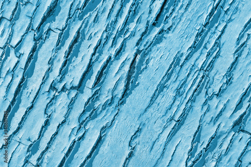 Cracks in blue paint on a wooden background. Old peeling texture of the wall. Emerald-colored bark.