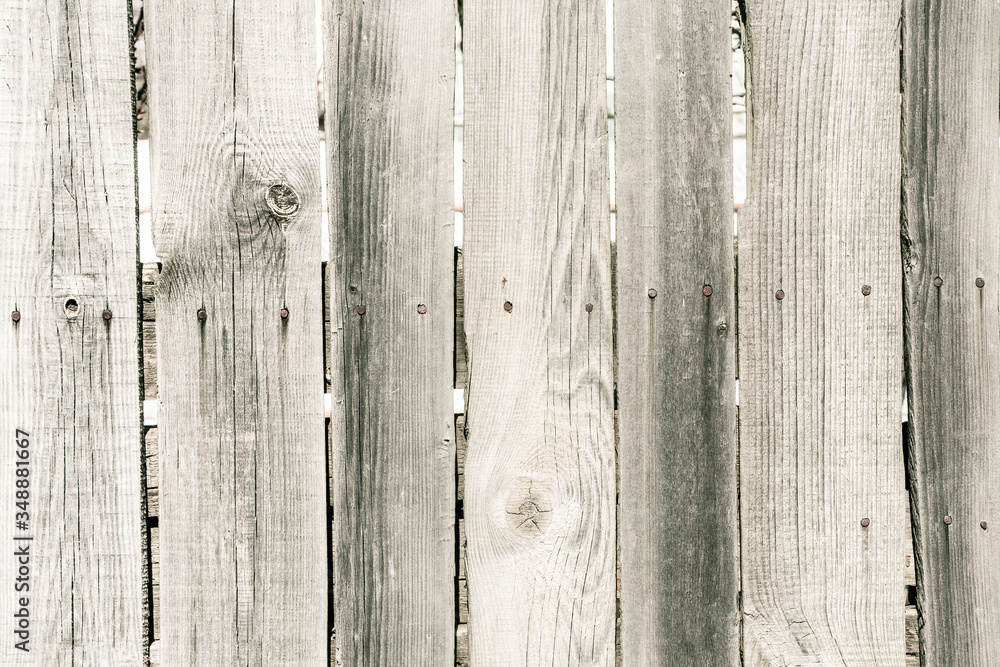 Fototapeta premium Wood texture, abstract wooden background. Natural grey board old in rustic style