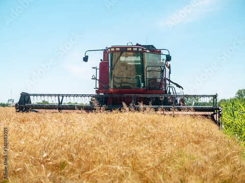Wheat harvesting in the summer. Red harvester working in the field. Golden ripe wheat harvest agricultural machine harvester on the field.