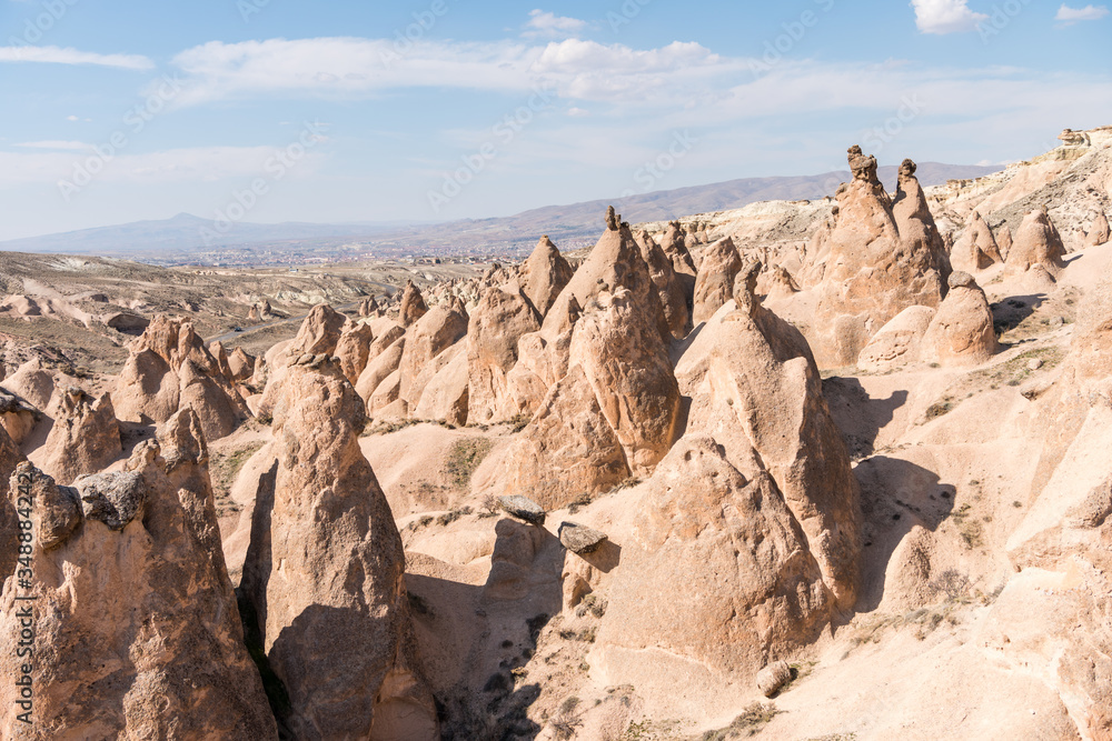 Many different rock formations and small fairy chimneys at Devrent Valley  in Goreme, Cappadocia,Turkey.