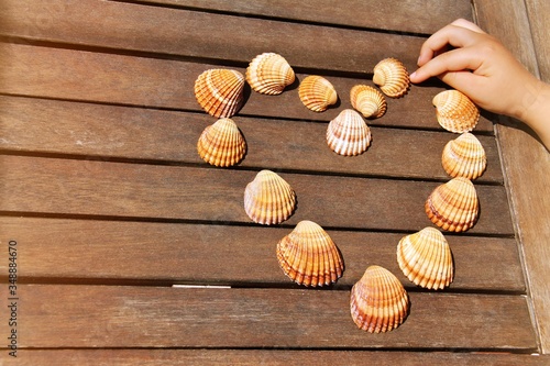 Heart shape made by sea shells