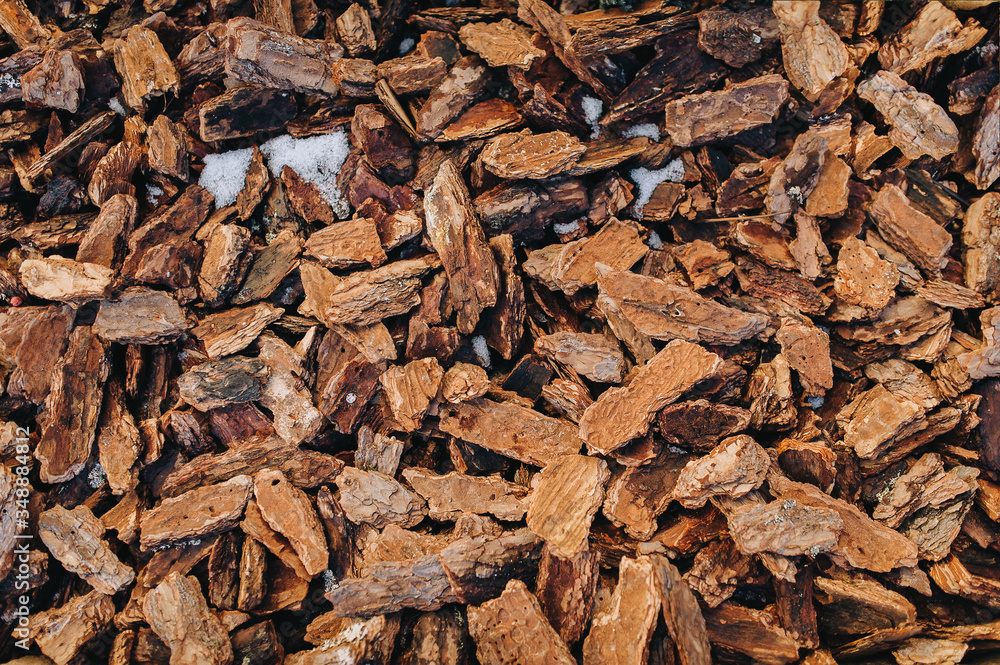 Pieces of pine bark are carpeted on the surface of the earth. Red brown natural background and texture. Concept of soil mulching in landscape design.