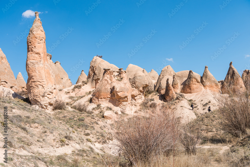 Fototapeta premium Many different rock formations and small fairy chimneys at Devrent Valley in Goreme, Cappadocia,Turkey.