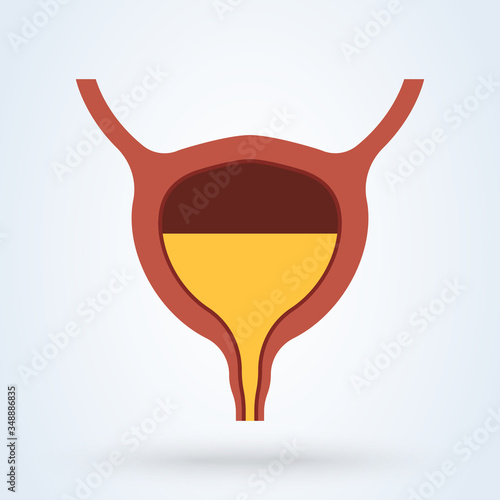 Full Urinary bladder. Human organ anatomy. Medical, healthcare and scientific concept. illustration