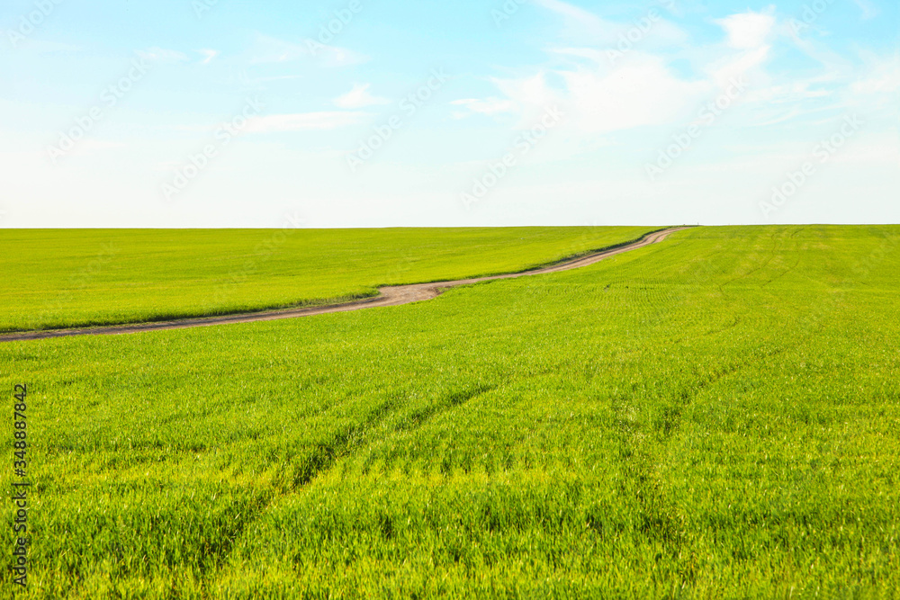 Green field against the blue sky.