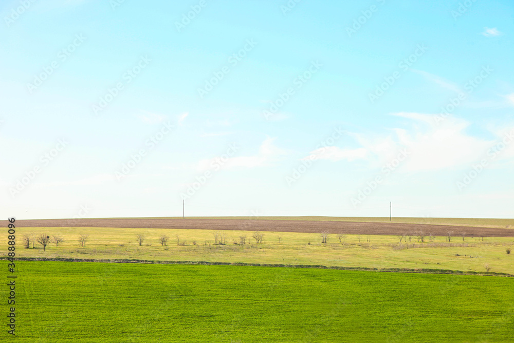 Green field against the blue sky. Green field against the blue sky.