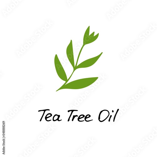 Tea Tree Plant. Cosmetic ingredient tea tree oil. Hand drawn icon for print and web. Vector graphic.