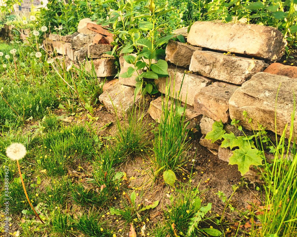 Isolated artistic warm sunrise close-up view of old ruin brick wall remains in garden as nature slowly taking back area Isolated artistic warm sunrise close-up view of old ruin brick wall remains in garden as nature slowly taking back area