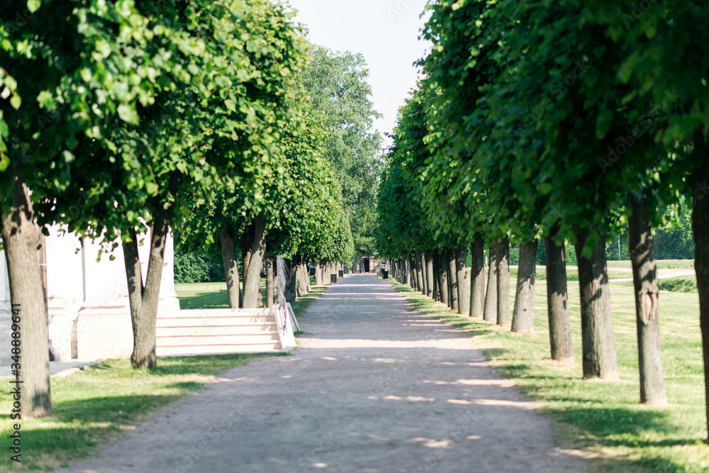 paths in the royal garden