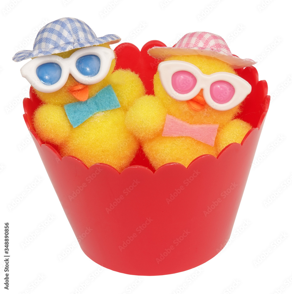 Fototapeta premium Two chicks with crazy glasses and hats toys in red flowerpot funny scene poster