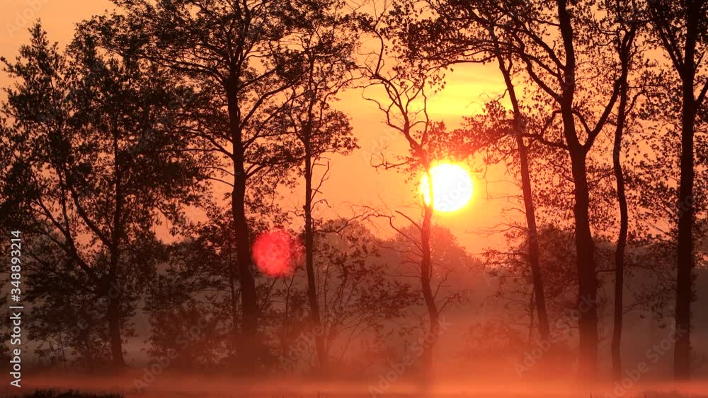 sunrise morning nature landscape, realtime
sunrise morning nature landscape, realtime