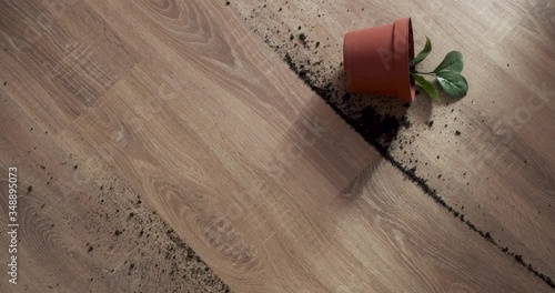Fallen flower pot. Mop the floor