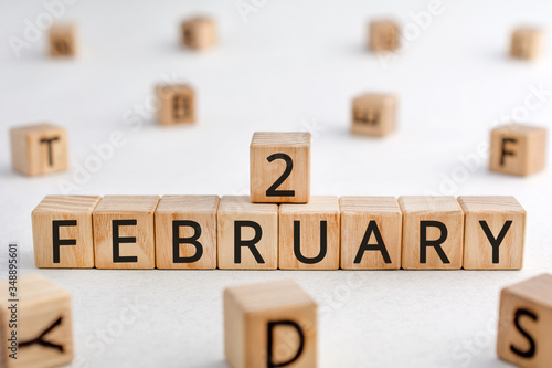 February 2 - from wooden blocks with letters, important date concept, white background random letters around