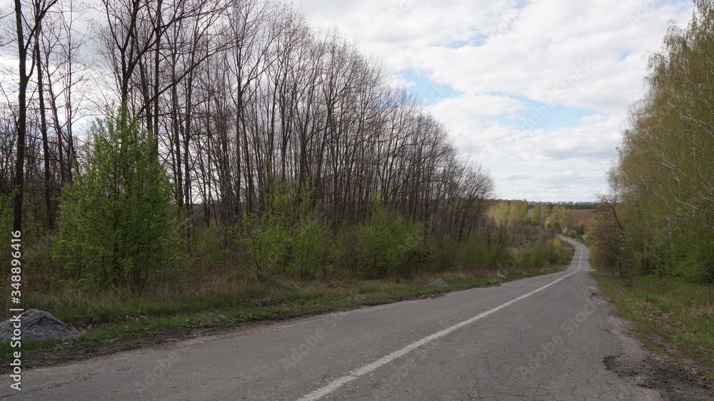Naklejka premium The road down near the forest