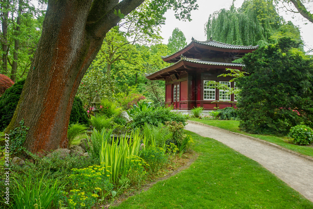 Amazing Japanese garden in Leverkusen in May Amazing Japanese garden in Leverkusen in May