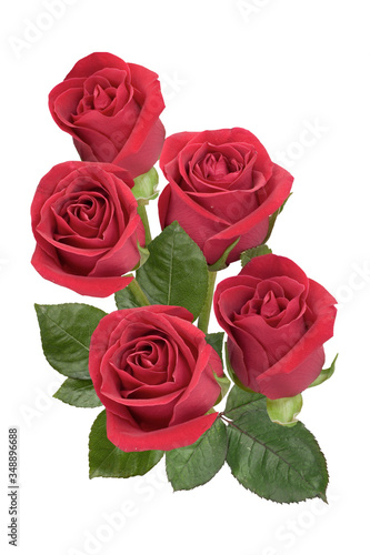 Bouquet of red roses on white background. Isolated © Erissona