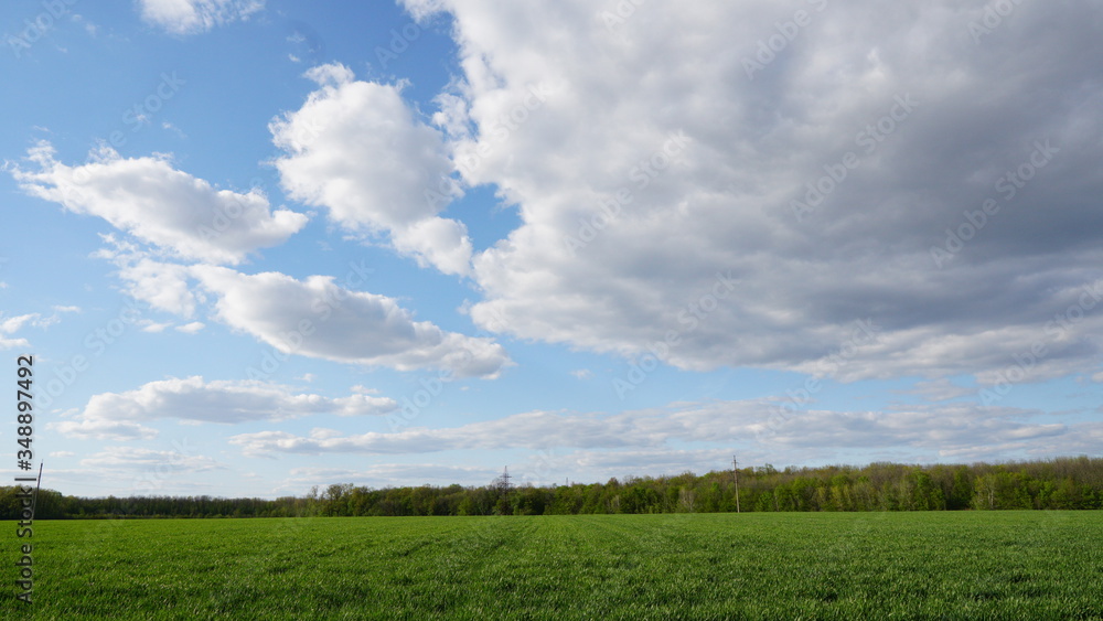 Spring landscape near the forest. Look to the left Spring landscape near the forest. Look to the left