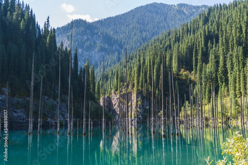 Fototapeta Naklejka Na Ścianę i Meble -  Kaindy lake - mountain lake in Kazakhstan
