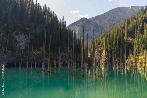 Fototapeta Naklejka Na Ścianę i Meble -  Kaindy lake - mountain lake in Kazakhstan