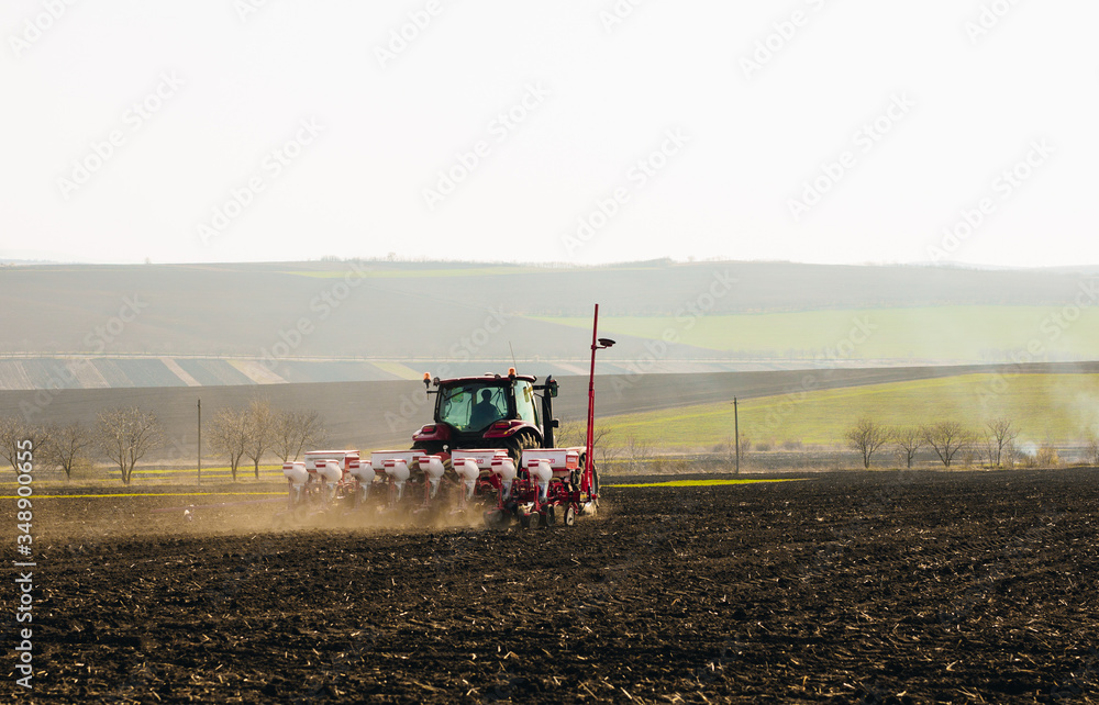 Fototapeta premium Farmer with tractor seeding sowing crops at agricultural fields in spring at sunset 