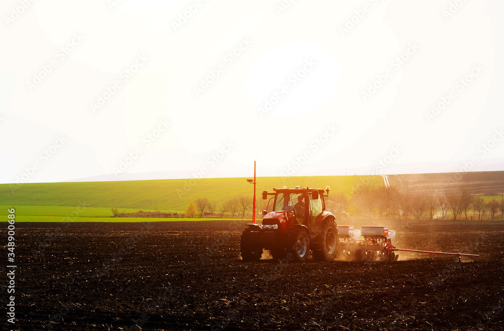 Fototapeta premium Farmer with tractor seeding sowing crops at agricultural fields in spring at sunset 