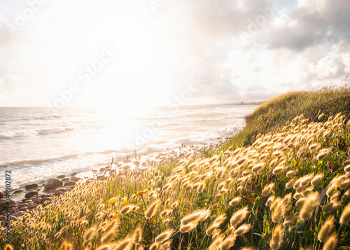 The beautiful view of Ladispoli beach at sunset, Rome