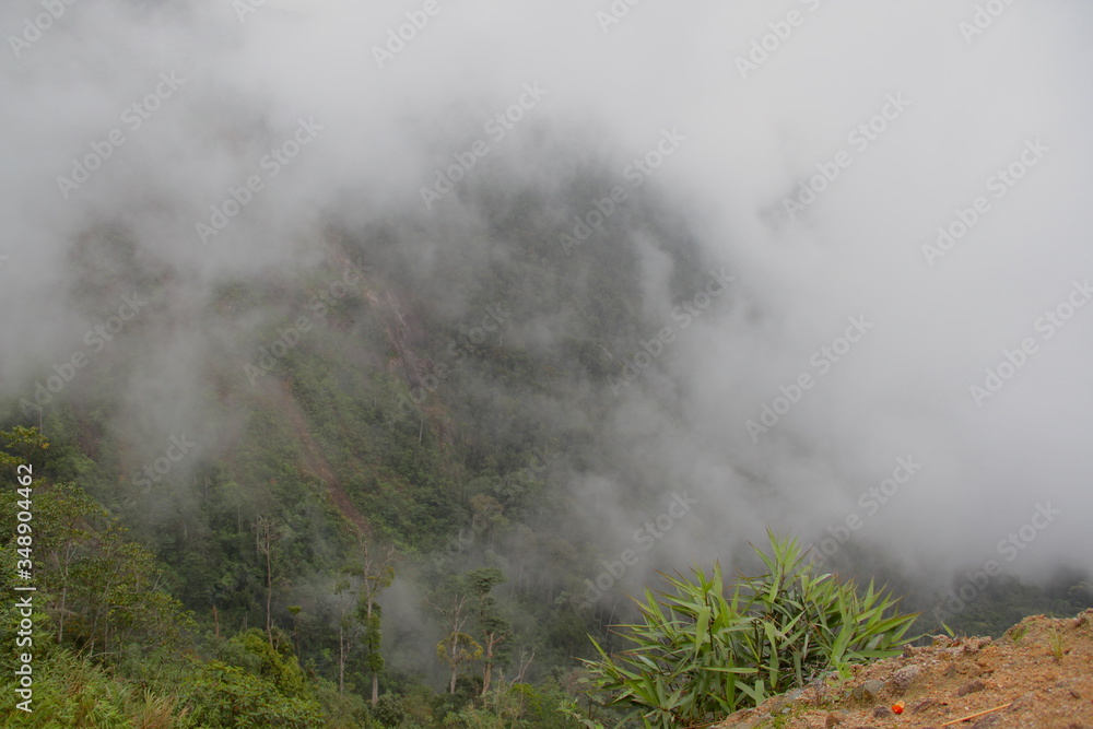 top view dense fog on the edge of a mountain canyon with trees and waterfalls