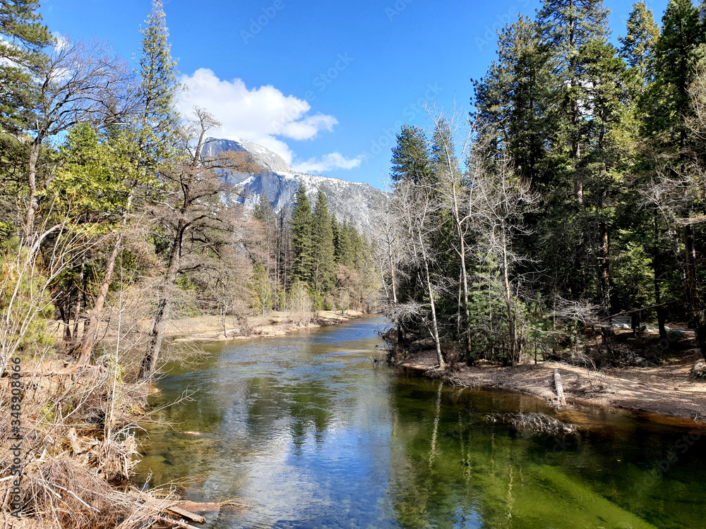 The Merced River (Yosemite)