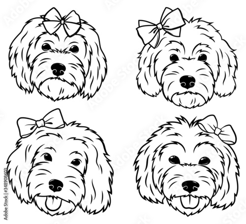 Set of portraits of dogs with a bow. Collection of vector heads of dogs of the breed Goldendoodle. Cute pets. Black and white drawing of domestic animals.