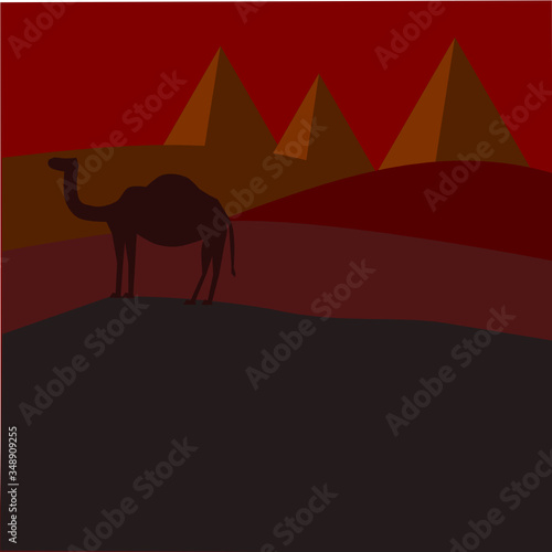 camel silhouette in the desert