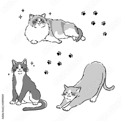 シンプルな白黒猫イラストセット Stock Vector Adobe Stock シンプルな白黒猫イラストセット Stock Vector Adobe Stock