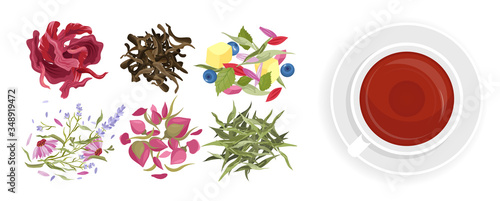 Herbal tea vector illustration set in flat cartoon style, teacup with healthy drink, herb beverage cafe menu of natural plants, flowers, berries and fruits. Vegetarian collection isolated on white