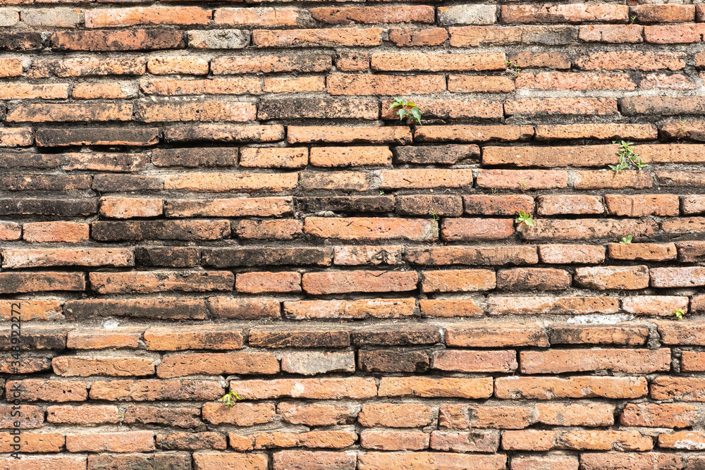 Fototapeta premium Ancient bricks wall. Old red bricks background.