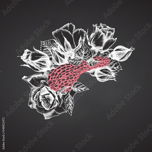 Pancreas with bouquet roses on chalkboard Realistic hand-drawn icon of human internal organ and flower frame. Sketch Engraving style Medical post-viral rehabilitation design concept. Tattoos art