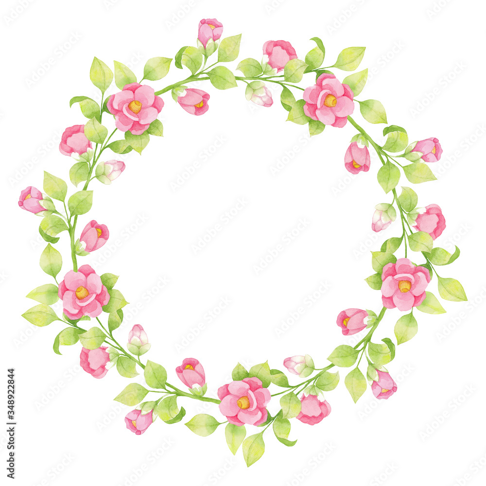 Watercolor wreath of pink flowers and green twigs, leaves isolated on white background. Japanese camellia Watercolor wreath of pink flowers and green twigs, leaves isolated on white background. Japanese camellia