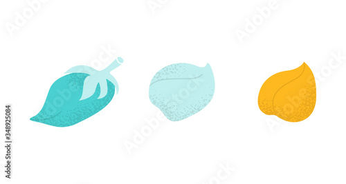 Evolution growth of chickpea or gram