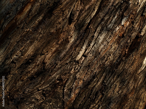 Wallpaper Mural Tree bark texture Torontodigital.ca