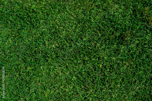 Green grass texture in the yard. Luxury villa garden. Textured grass wallpaper background. Top view from above