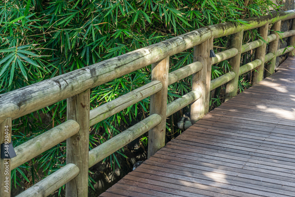 Wooden pedestrian bridge with side bamboo railing in an exotic park of the island of Mauritius Wooden pedestrian bridge with side bamboo railing in an exotic park of the island of Mauritius