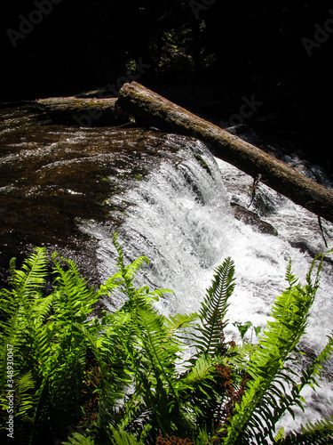 Downstream water of Liffey falls or previously called Tellerpangger by the Tasmanian Aborigines. Suitable for spa image or to illustrate a dream meaning. Waterfall symbolizes of letting things go photo