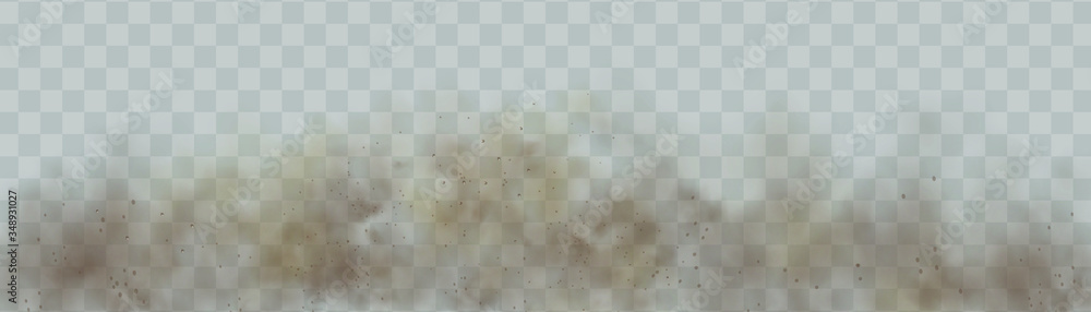 Fototapeta Dust cloud with particles with dirt,cigarette smoke, smog, soil and sand particles. Realistic vector isolated on transparent background. Concept house cleaning, air pollution,big explosion.