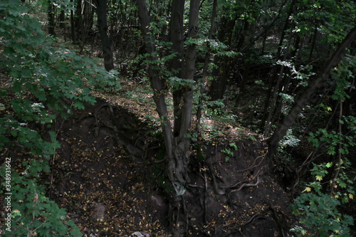 Huge pile of garbage in the forest