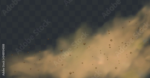 Dust cloud with particles with dirt,cigarette smoke, smog, soil and sand  particles. Realistic vector isolated on transparent background. Concept house cleaning, air pollution,big explosion.